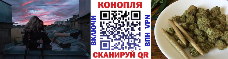 дарнет шоп  Зеленодольск  Каннабис семена 